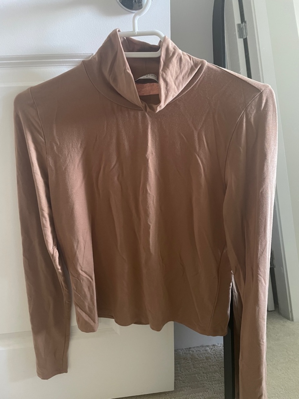 Babaton Turtleneck Top in Dusty Brown